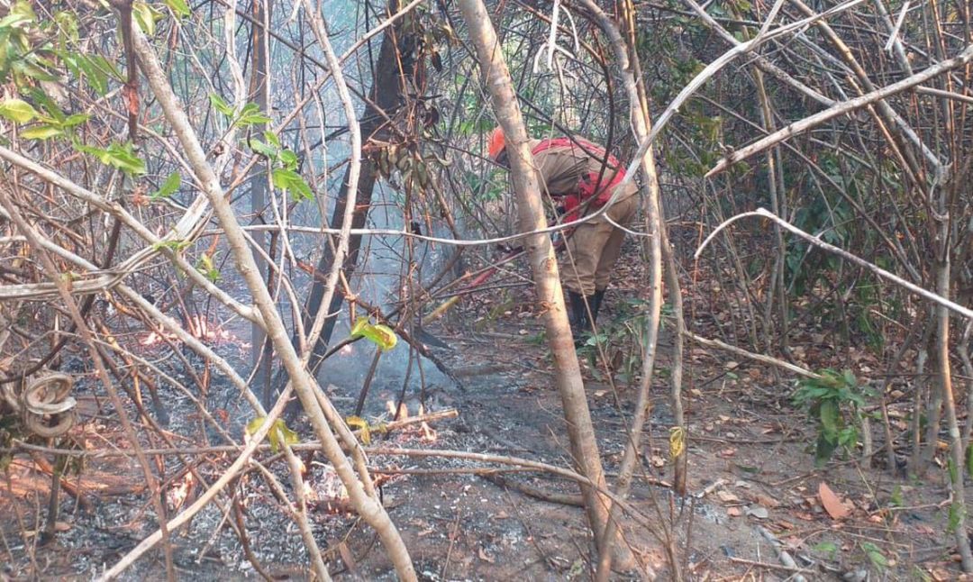 arquivo-corpo-de-bombeiros-goia_20210915-234716_1.jpeg