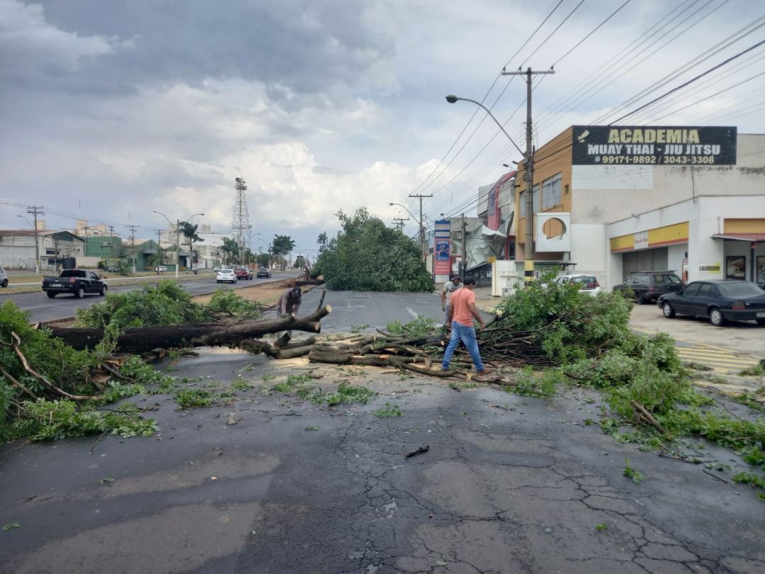 equipes_da_prefeitura_remorem_arvores_apos_temporal-1028445.jpg