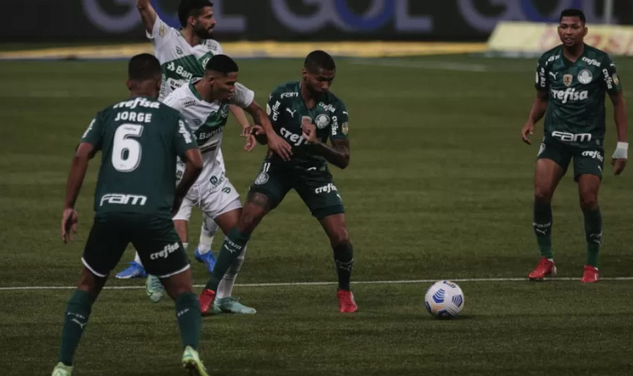 palmeira_20211003-234452_1.png