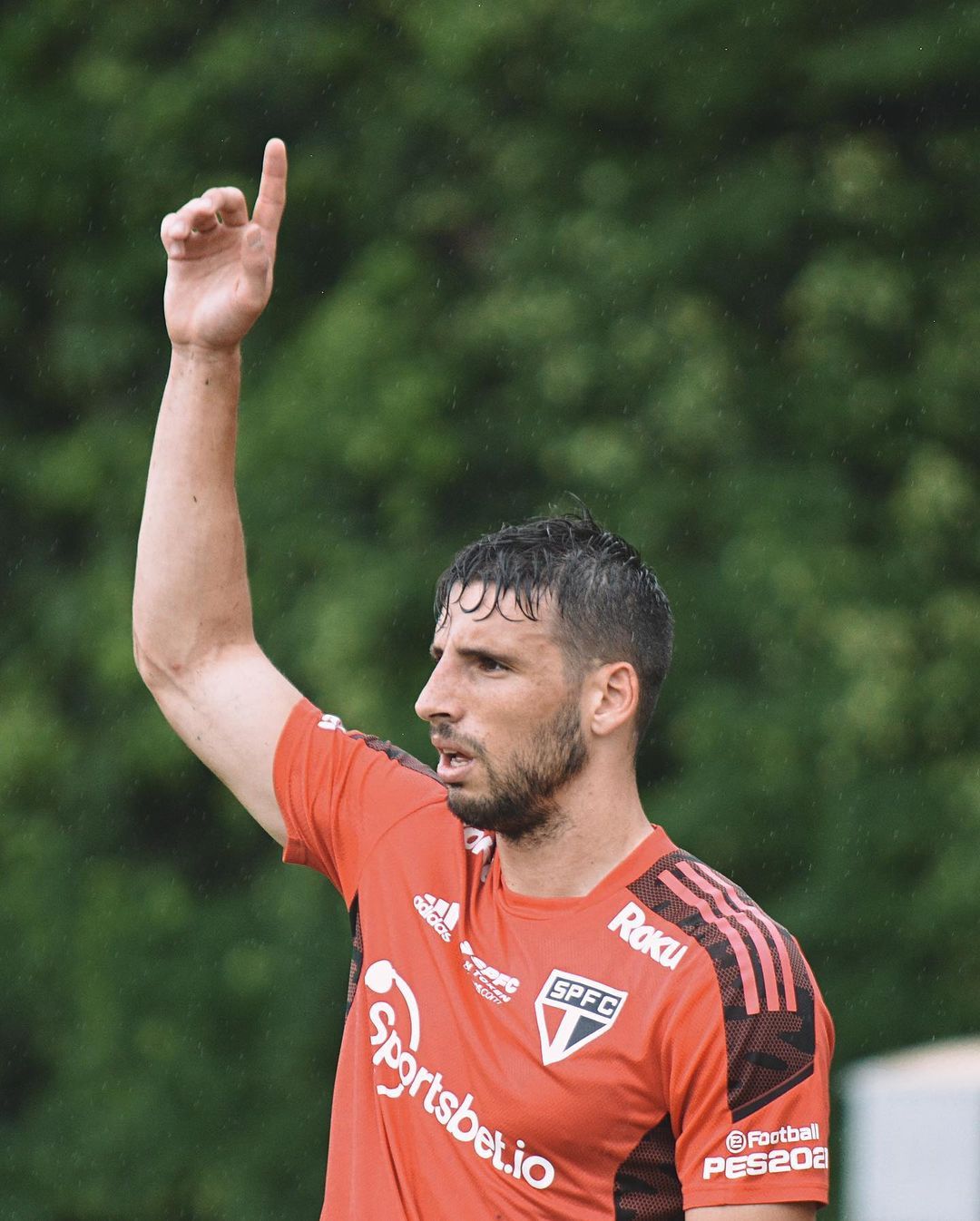 sao_paulo_calleri-1037767.jpg
