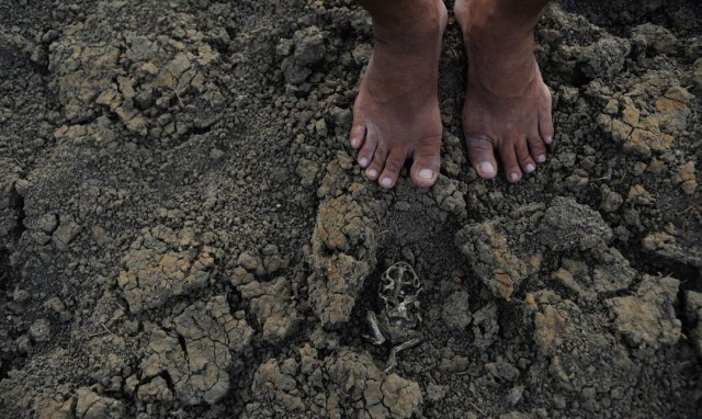 (Foto: Fernando Frazão/Agência Brasil)