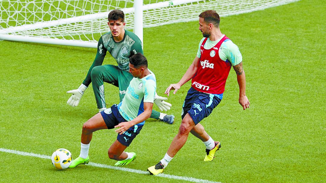Palmeiras.jpg