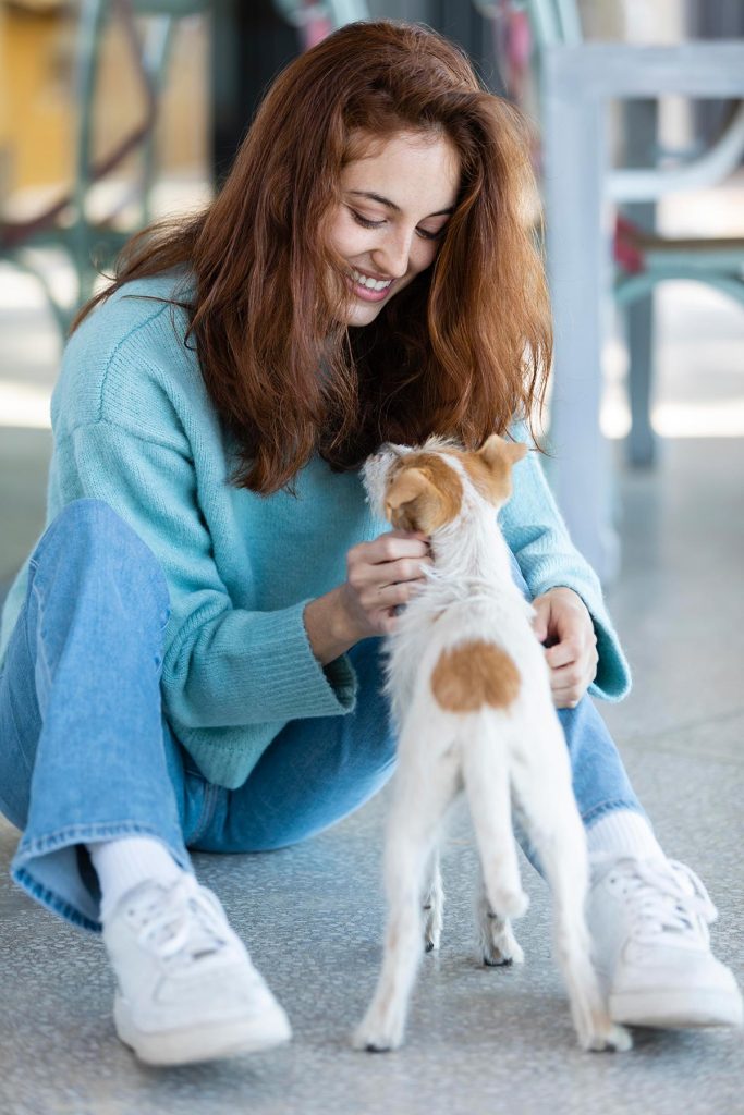 Remédios naturais para aliviar a dor em cães, como cúrcuma e óleo de CBD.