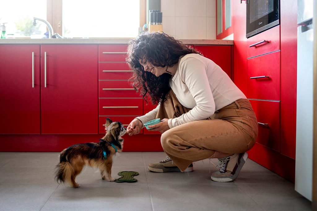 Dono escondendo comprimido na comida para dar ao cachorro de forma disfarçada.