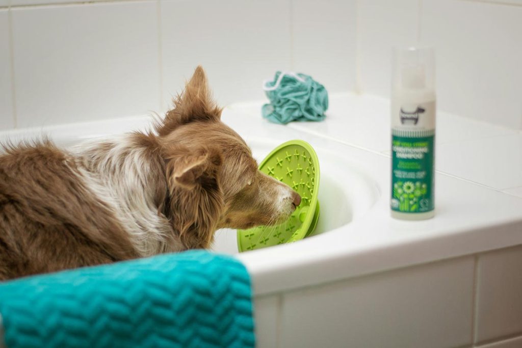 Frasco de shampoo antipulgas utilizado para eliminar parasitas em cachorros.